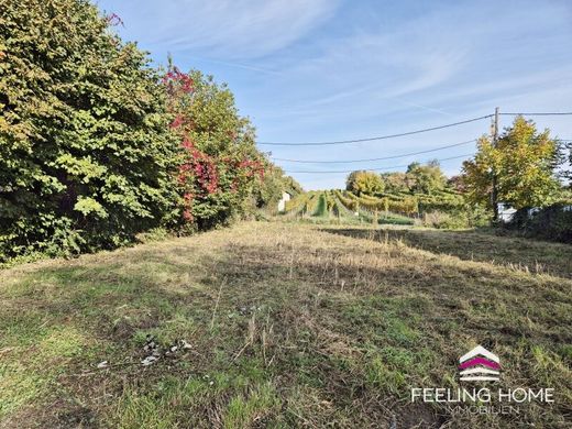 أرض ﻓﻲ فيينا, Wien Stadt