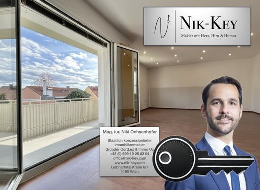 Office in Oberwart, Politischer Bezirk Oberwart