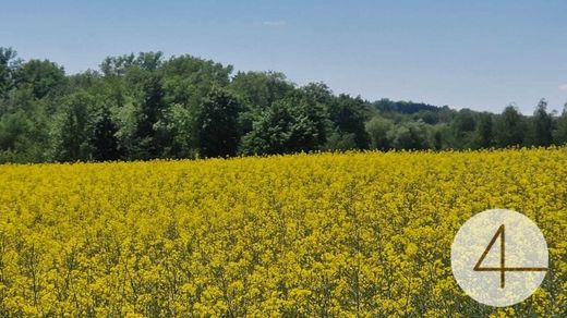 Terreno a Andorf, Politischer Bezirk Schärding