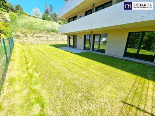 Apartment in Kaltenleutgeben, Politischer Bezirk Mödling
