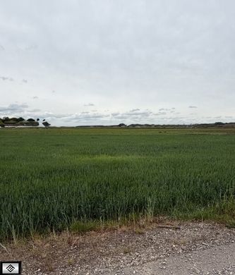 Land in Guntersdorf, Politischer Bezirk Hollabrunn