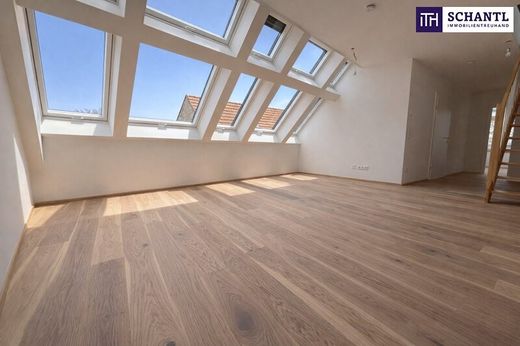 Apartment in Traiskirchen, Politischer Bezirk Baden