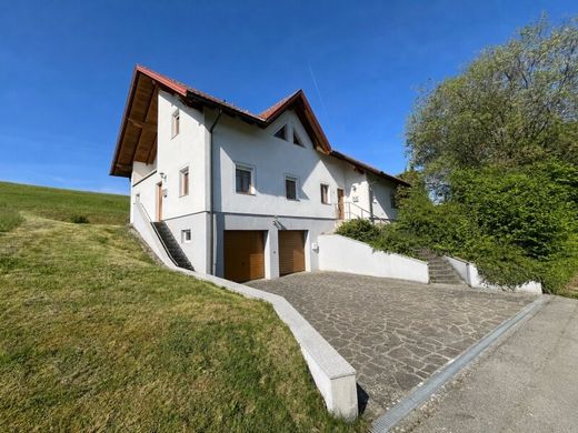 Casa di lusso a Haibach ob der Donau, Politischer Bezirk Eferding
