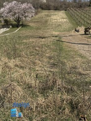 Teren w Langenzersdorf, Politischer Bezirk Korneuburg