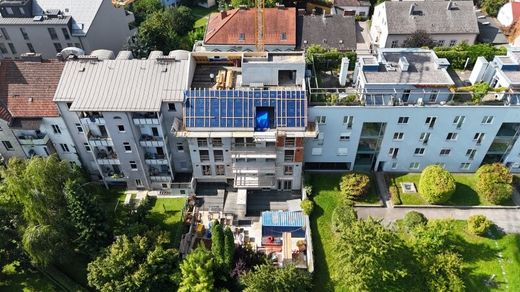 Daire Linz, Linz Stadt