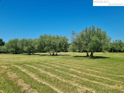 Luxury home in Poreč, Grad Poreč