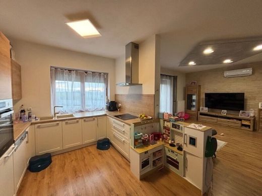 Maison de luxe à Potzneusiedl, Politischer Bezirk Neusiedl am See