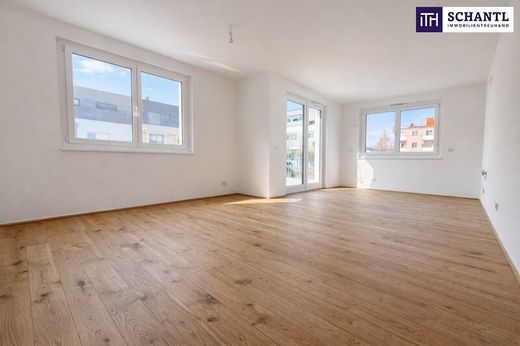 Apartment in Schwechat, Politischer Bezirk Bruck an der Leitha