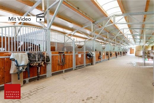 Farm in Edelsbach bei Feldbach, Politischer Bezirk Südoststeiermark