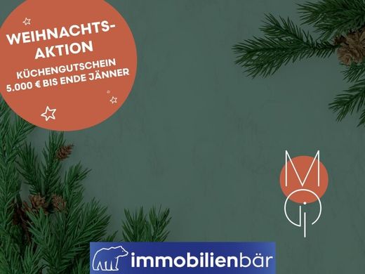 펜트하우스 / Grieskirchen, Politischer Bezirk Grieskirchen