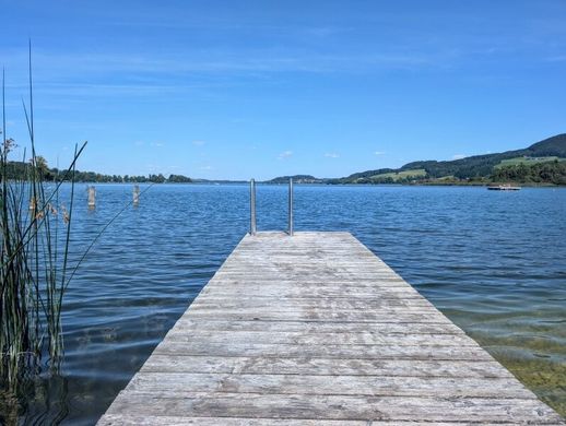 Apartament w Obertrum am See, Politischer Bezirk Salzburg-Umgebung