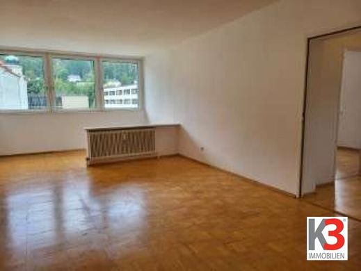 ザルツブルク, Salzburgのアパートメント