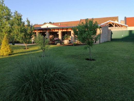 Luxury home in Winden am See, Politischer Bezirk Neusiedl am See