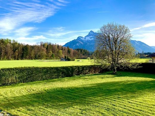 Land in Salzburg