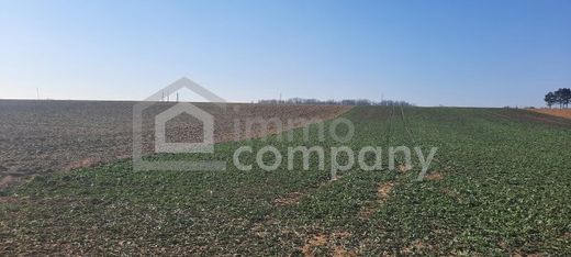 Teren w Nemesboldogasszonyfa, Zala