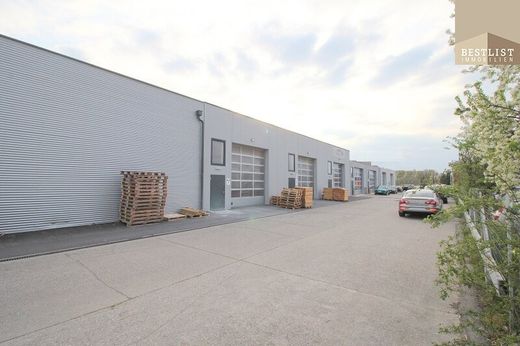 Office in Tribuswinkel, Politischer Bezirk Baden