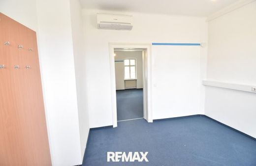 Ofis Siegendorf im Burgenland, Eisenstadt-Umgebung