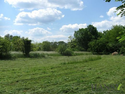 Arsa Tárnokréti, Győr-Moson-Sopron megye