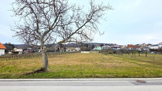 Land in Purbach am Neusiedler See, Eisenstadt-Umgebung
