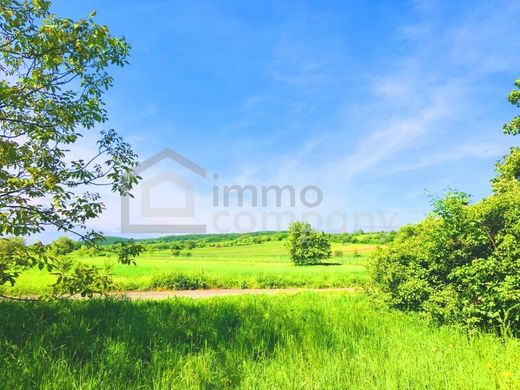 Land in Breitenbrunn, Eisenstadt-Umgebung