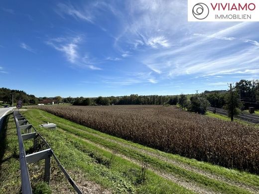 Land in Wallern an der Trattnach, Politischer Bezirk Grieskirchen