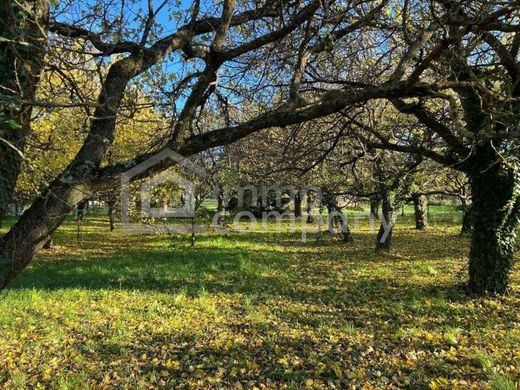 ‏קרקע ב  Hornstein, Eisenstadt-Umgebung