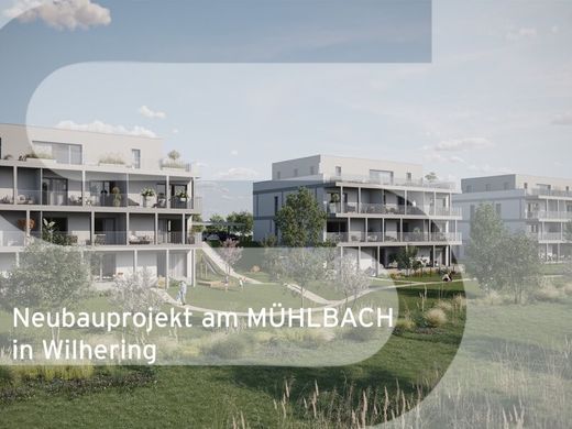 Квартира, Wilhering, Politischer Bezirk Linz-Land