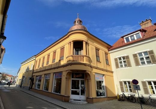 Luxe woning in Fürstenfeld, Politischer Bezirk Hartberg-Fürstenfeld