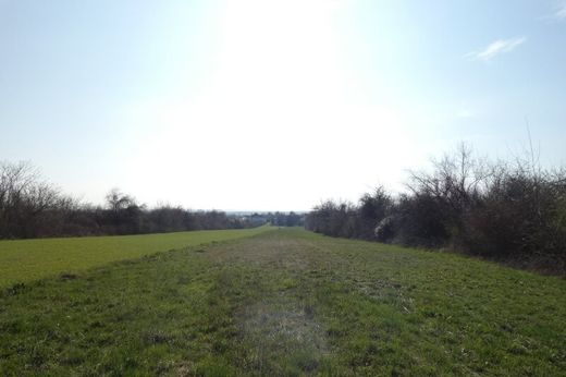 Land in Breitenbrunn, Eisenstadt-Umgebung