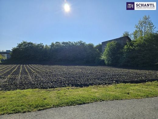 Arsa Stainz, Politischer Bezirk Deutschlandsberg