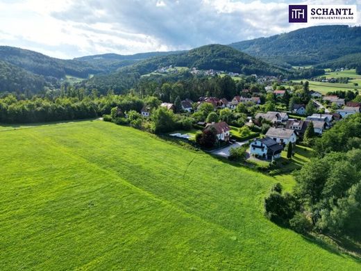 أرض ﻓﻲ Zienitzen, Politischer Bezirk Sankt Veit an der Glan