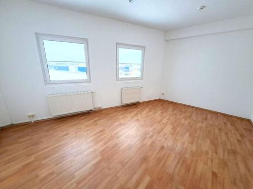 Office in Enns, Politischer Bezirk Linz-Land