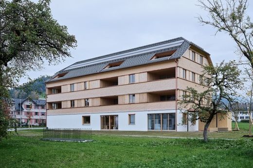 Daire Lingenau, Politischer Bezirk Bregenz