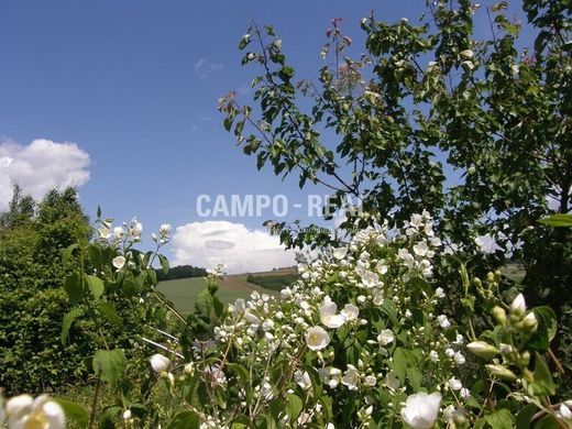 Fazenda - Maria-Anzbach, Politischer Bezirk Sankt Pölten