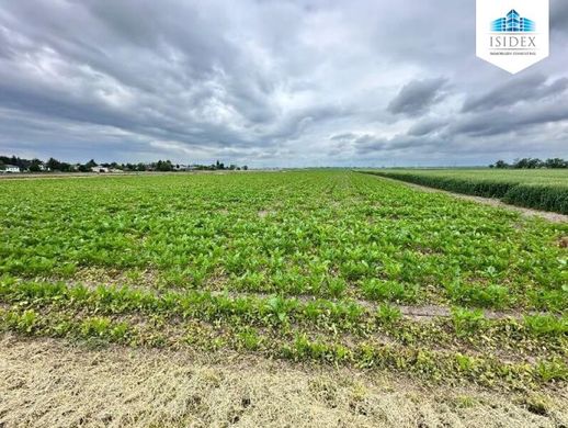 Arsa Gemeindebezirk Donaustadt, Wien Stadt