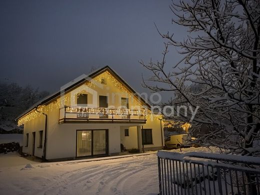 Sankt Barbara im Mürztal, Politischer Bezirk Bruck-Mürzzuschlagの高級住宅