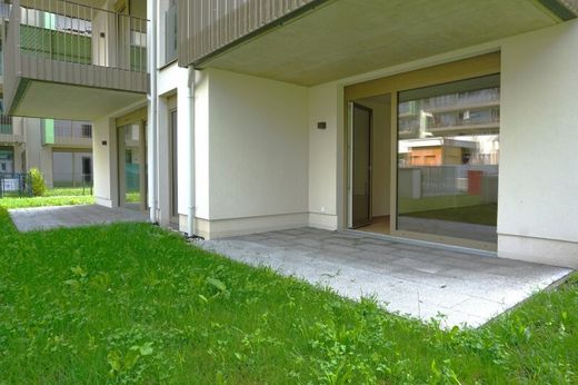 Daire Seekirchen am Wallersee, Politischer Bezirk Salzburg-Umgebung