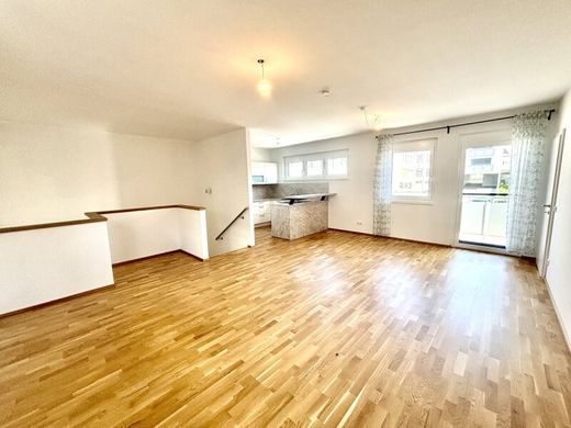 Daire Neusiedl am See, Politischer Bezirk Neusiedl am See