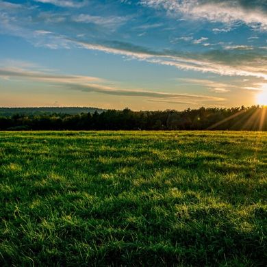 Boerderij in Neunkirchen, Politischer Bezirk Neunkirchen