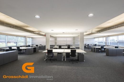 办公室  Anif, Politischer Bezirk Salzburg-Umgebung