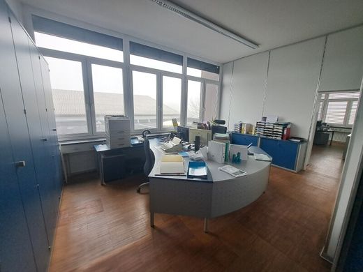 Biuro w Tribuswinkel, Politischer Bezirk Baden