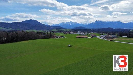 地皮  Elixhausen, Politischer Bezirk Salzburg-Umgebung