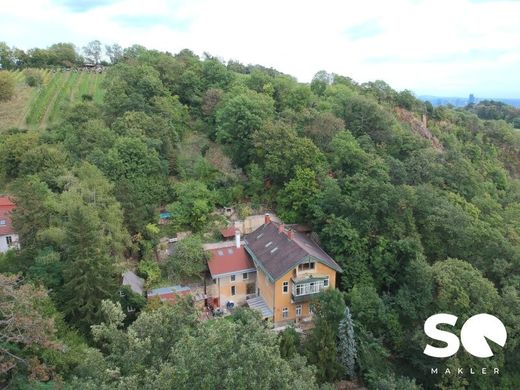 Luxury home in Vienna, Wien Stadt