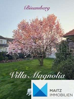 Villa in Vienna, Wien Stadt