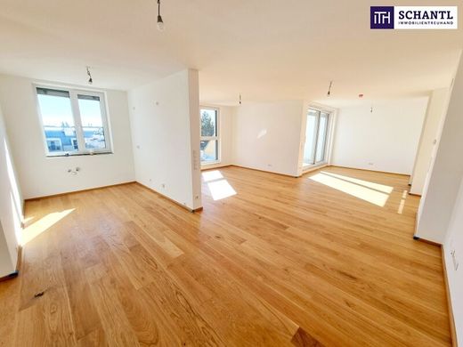 Penthouse in Vienna, Wien Stadt