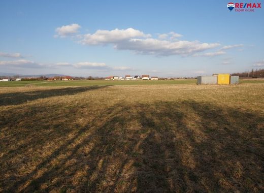 Arsa Oftering, Politischer Bezirk Linz-Land