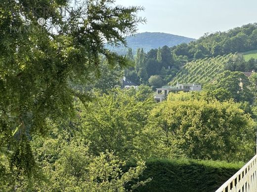 Teren w Wiedeń, Wien Stadt