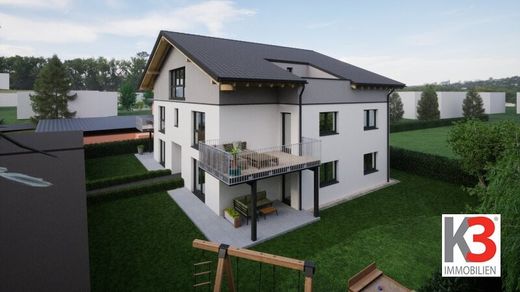 Daire Ried im Innkreis, Politischer Bezirk Ried im Innkreis