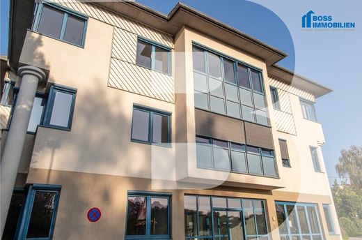 Office in Thalheim bei Wels, Wels-Land