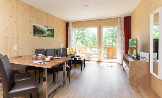 Apartment / Etagenwohnung zu verkaufen in Russbach am Pass Gschütt